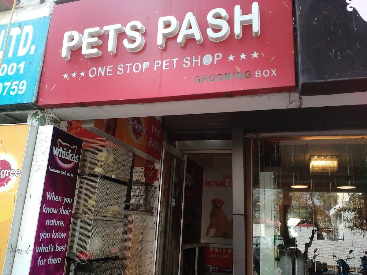 PETS PASH - Photo 2