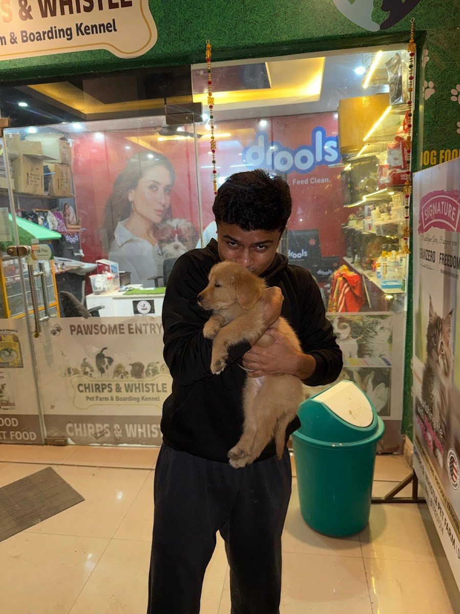 Puppers Hub - Photo 2