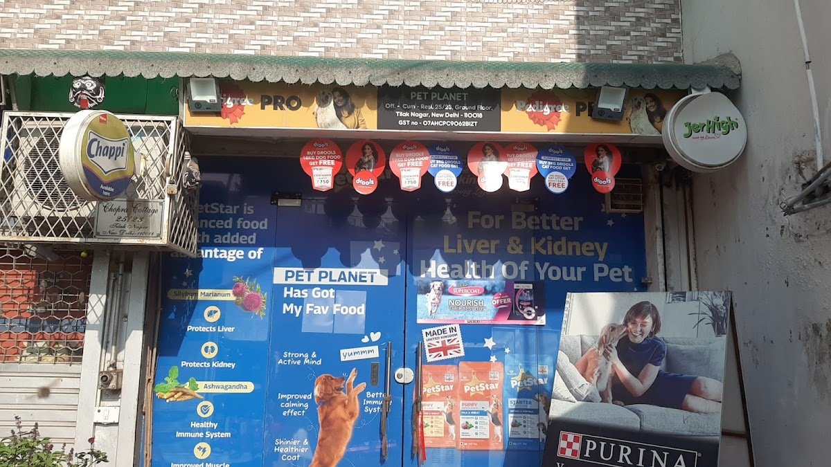 Pet Planet Tilak Nagar - Photo 2