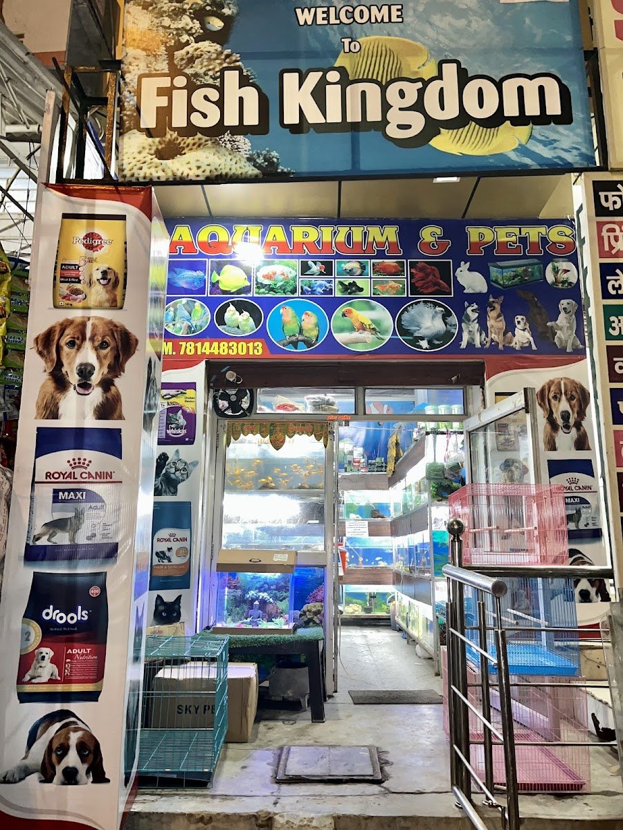 Fish kingdom - Photo 2