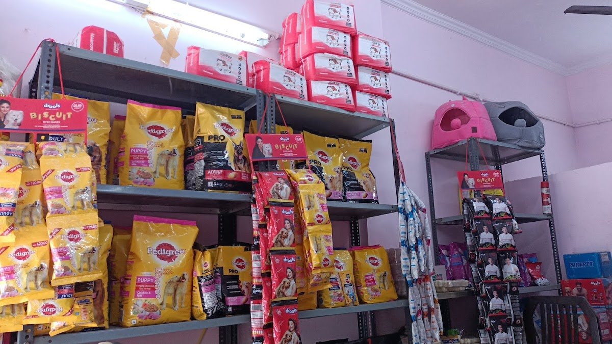 SD Pet shop - Photo 2