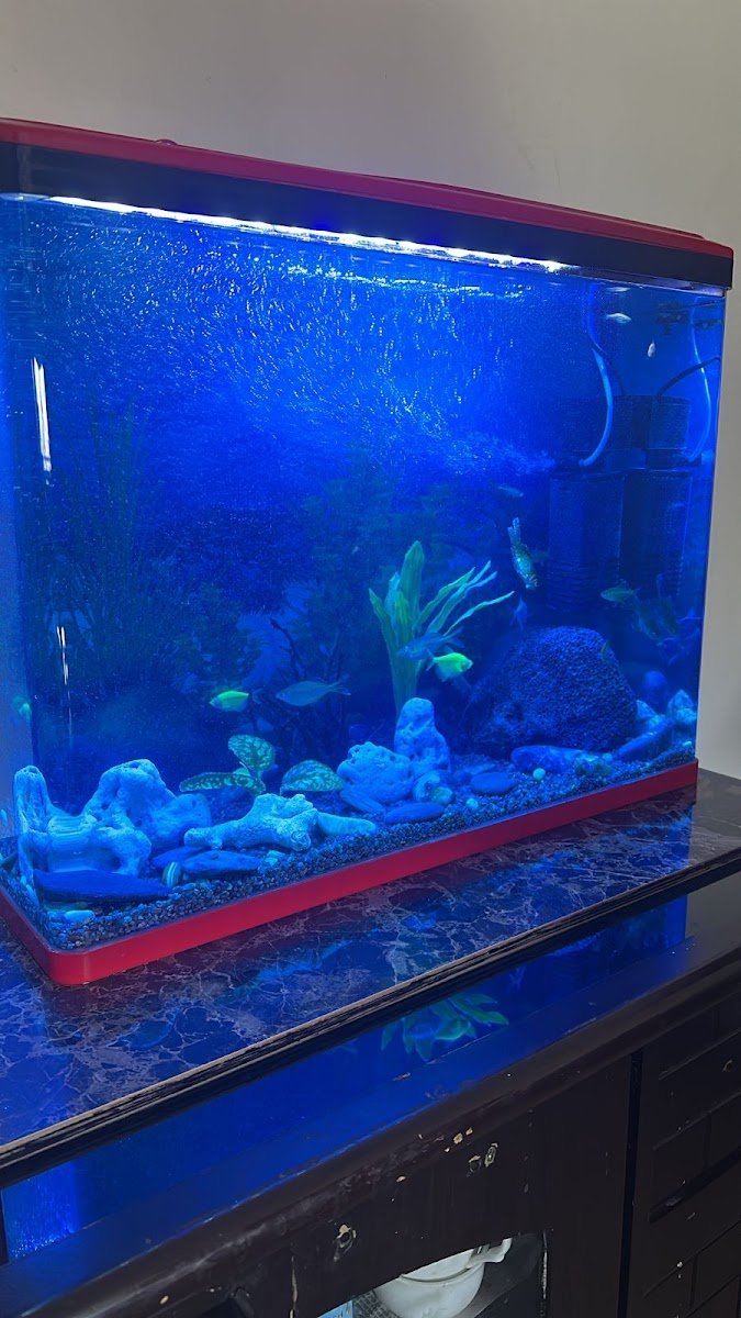 Dheeraj Aqua World - Photo 2
