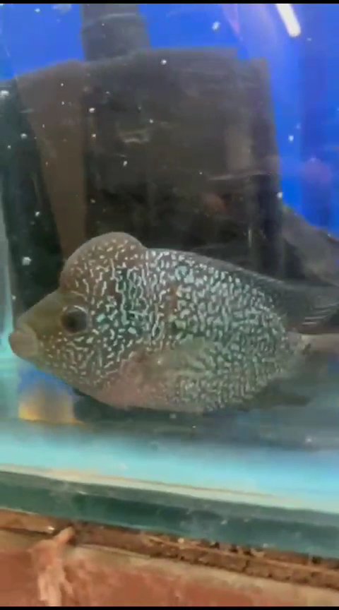 Aqua zone - Photo 2