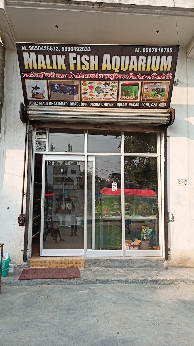 Malik Fish Aquarium - Photo 2