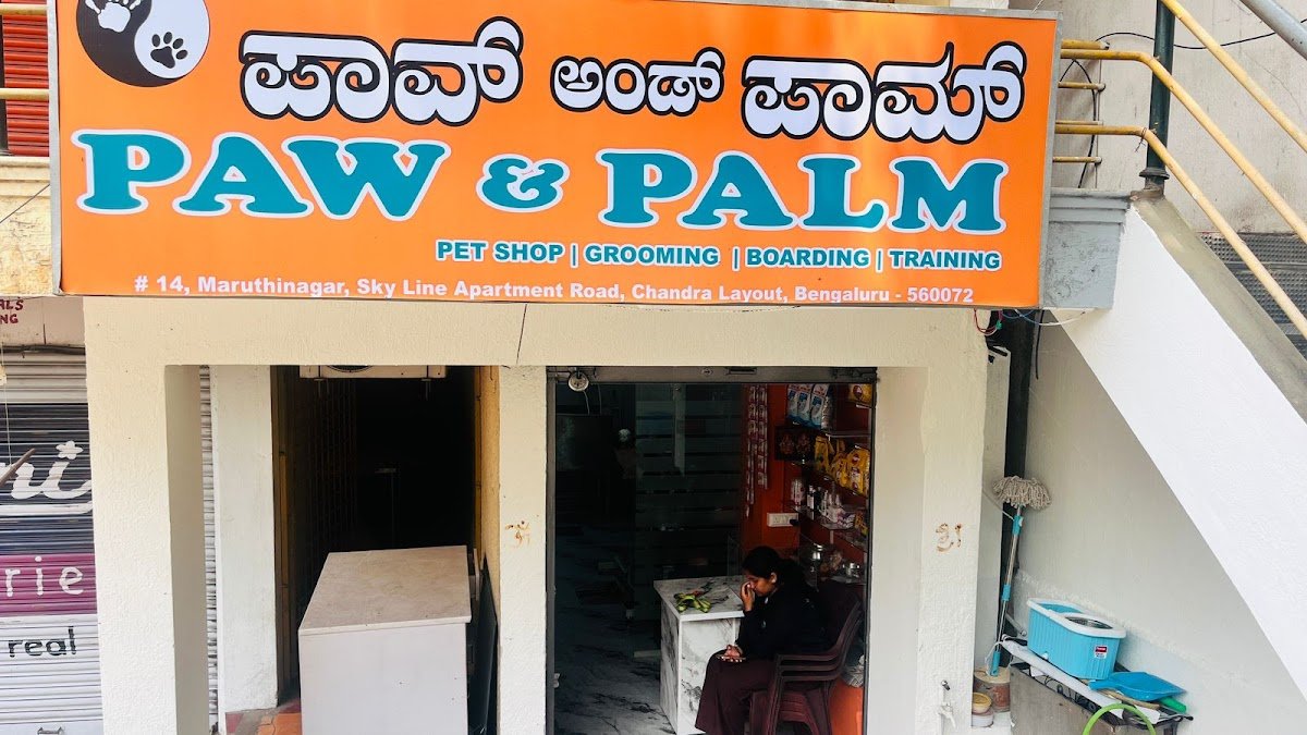 Paw & Palm - Photo 2