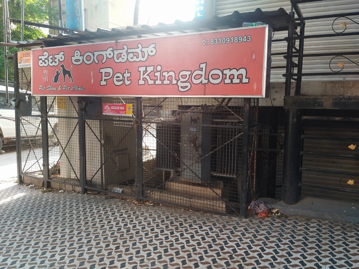 Pet kingdom, - Photo 2