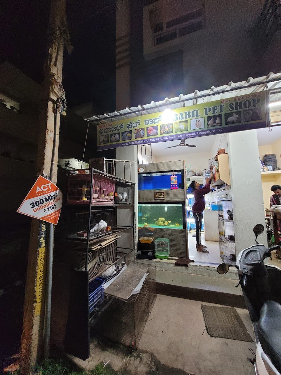 Ababil Pet Shop - Photo 2