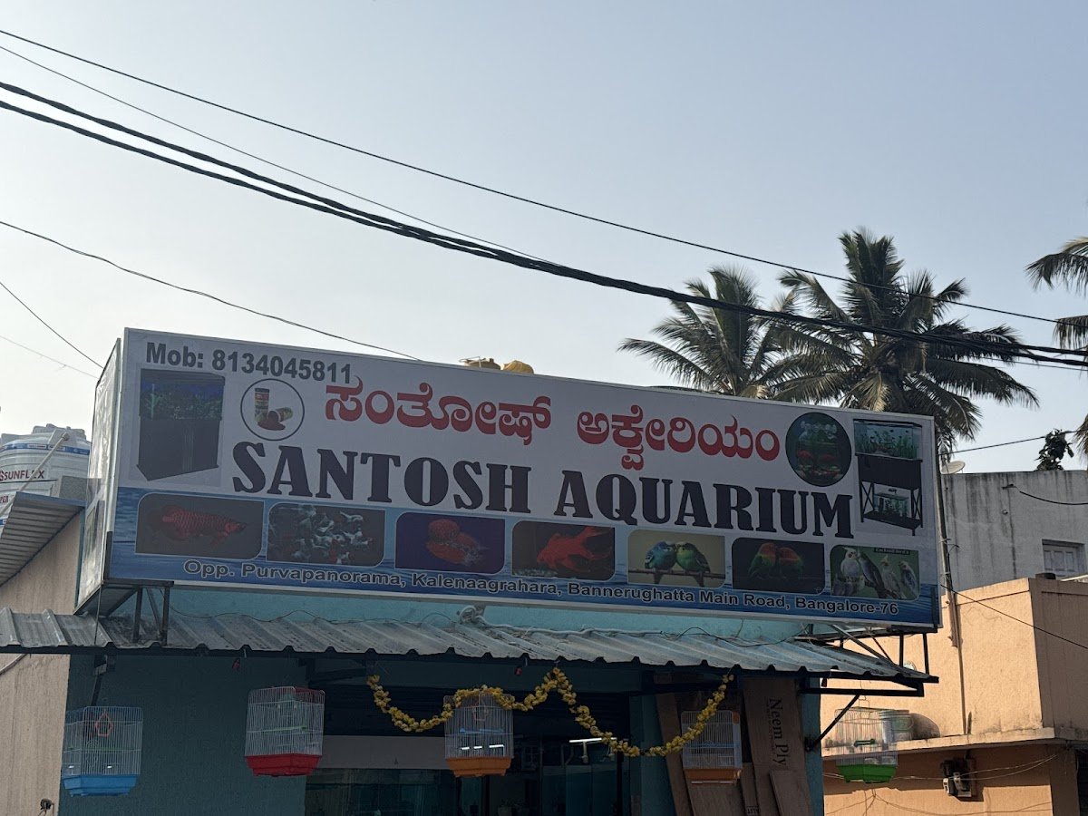 SANTOSH AQUARIUM - Photo 2