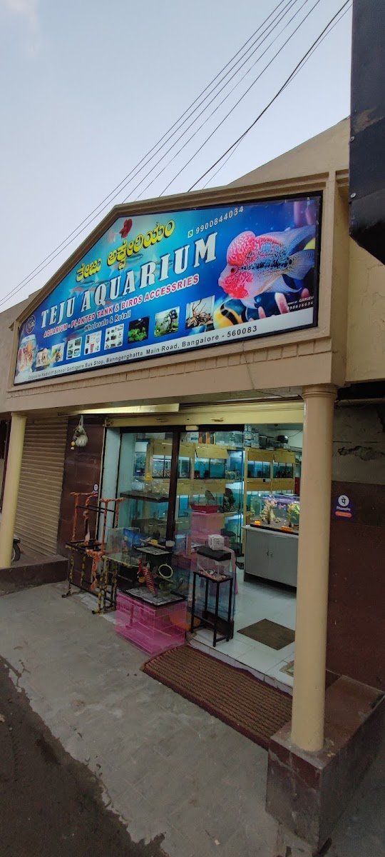 Teju Aquarium - Photo 2
