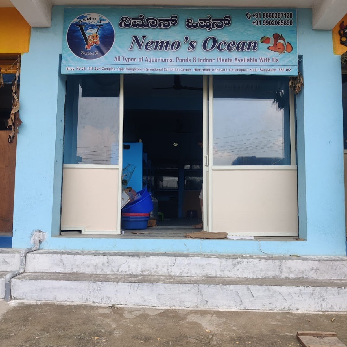Nemo's Ocean - Photo 2