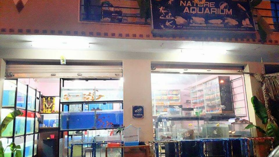 Nature Aquarium - Photo 2