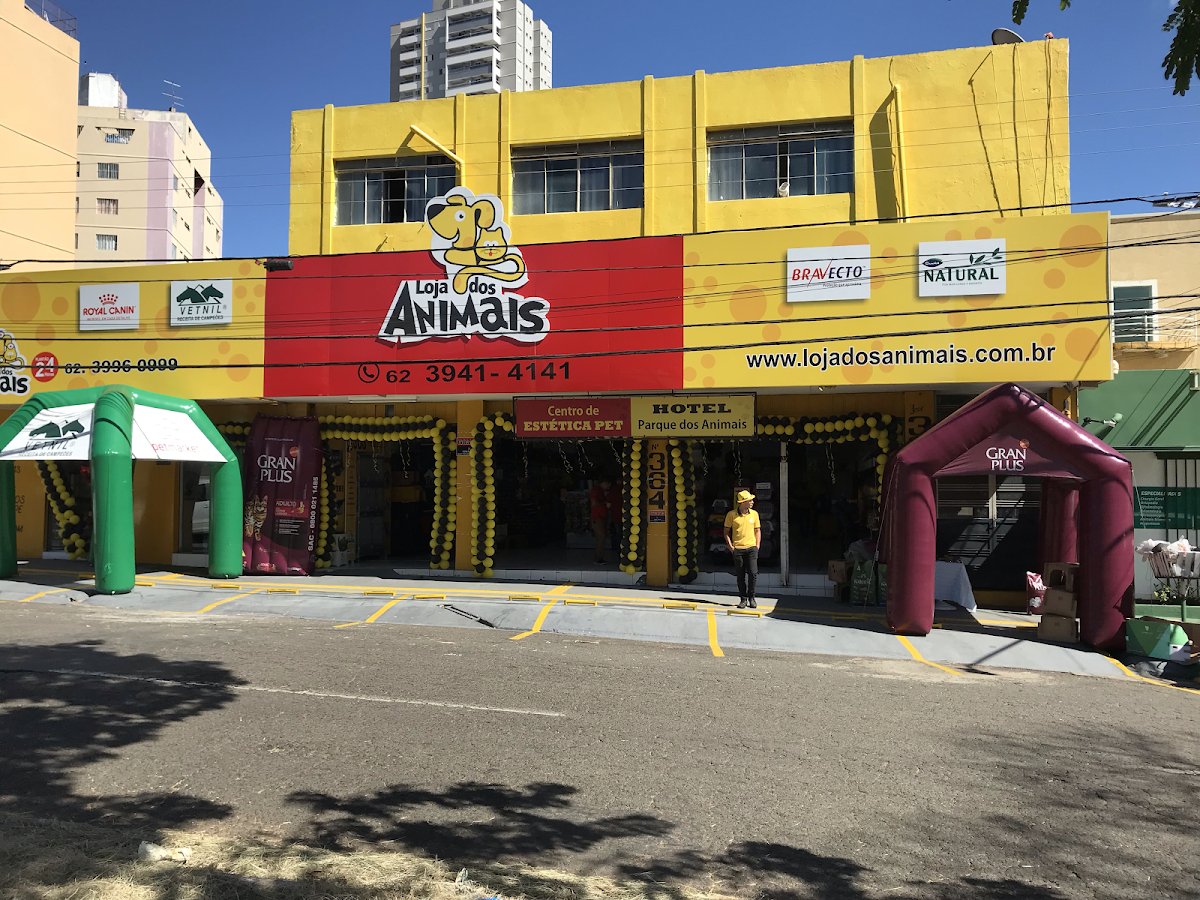 Animais Goiânia