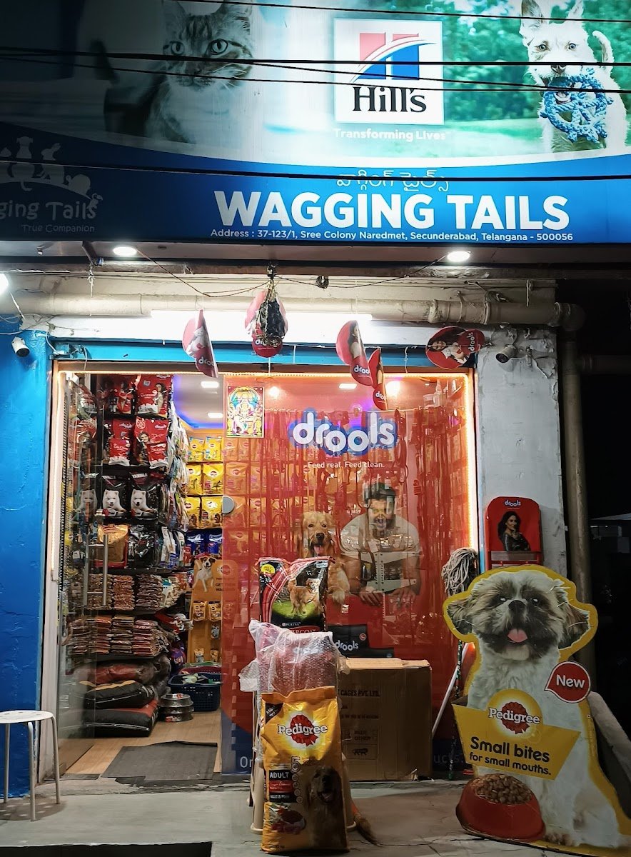 Wagging Tails - Photo 2