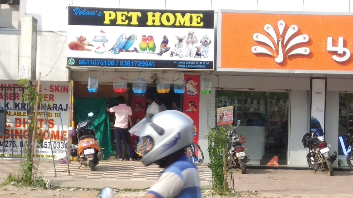 VELANS PET HOME - Photo 2