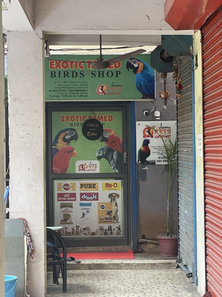 Chennai Pets Corner - Photo 2