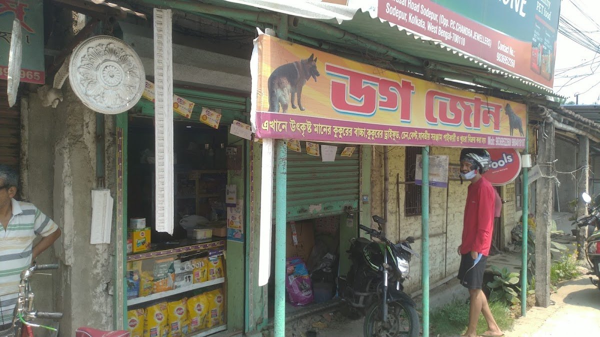 Dogs Zone - Photo 2