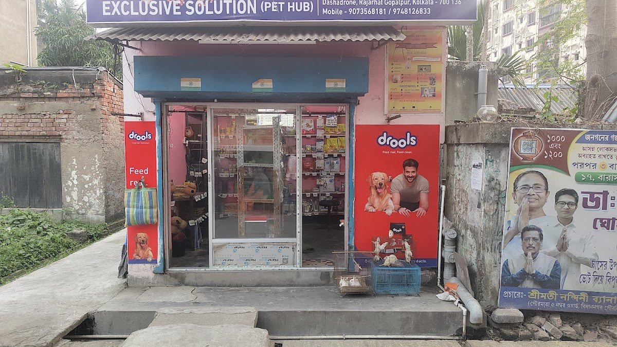 EXCLUSIVE SOLUTION (PET HUB ) - Photo 2