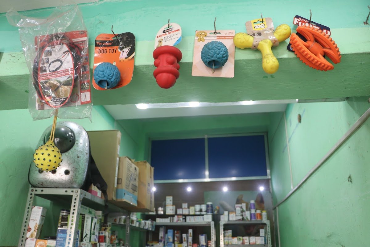 Pets Heaven - Photo 2
