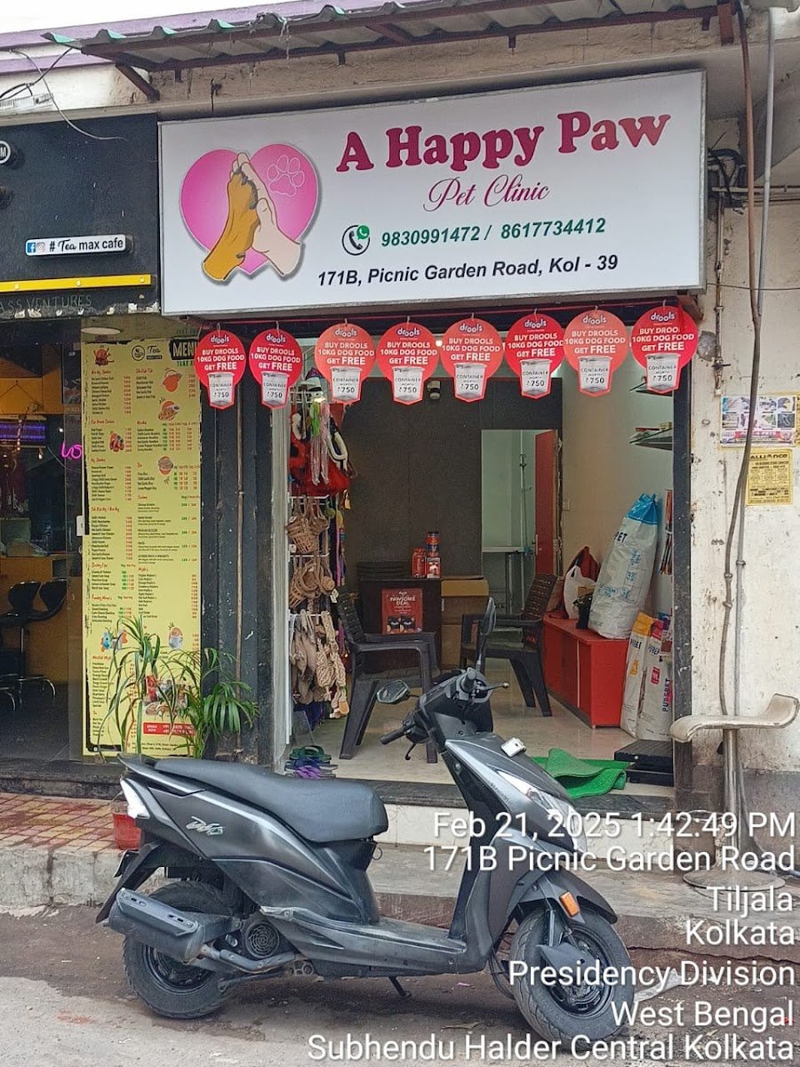 A happy paw - Photo 2