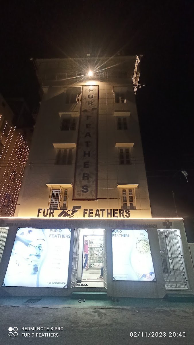 FUR O FEATHERS - Photo 2