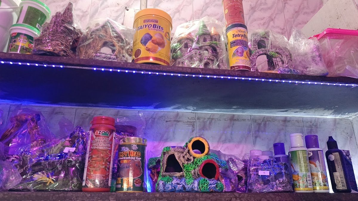 Baidyanath Aquarium - Photo 2
