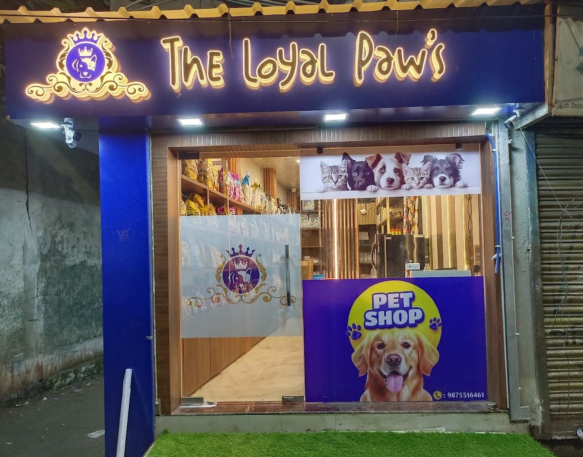 The Loyal Paws - Photo 2