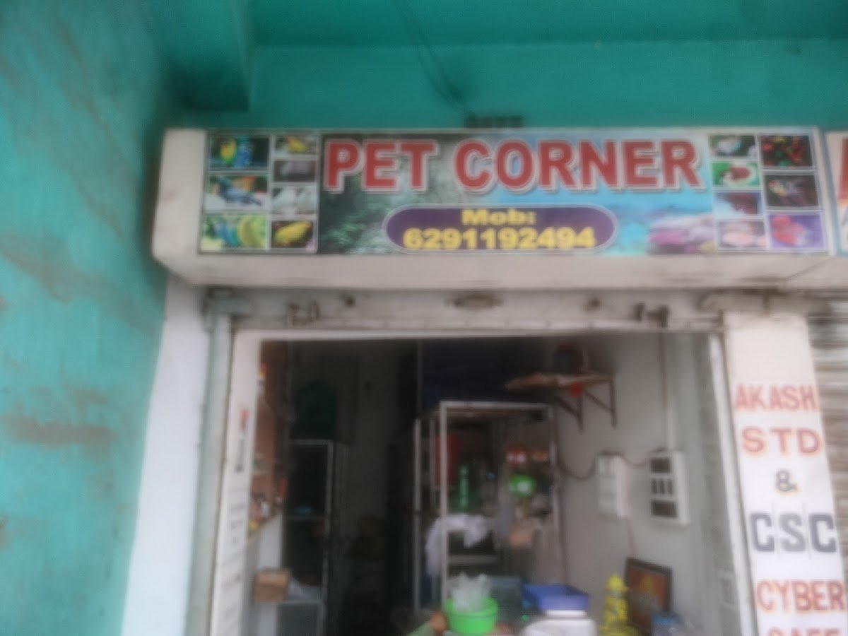 PET CORNER - Photo 2