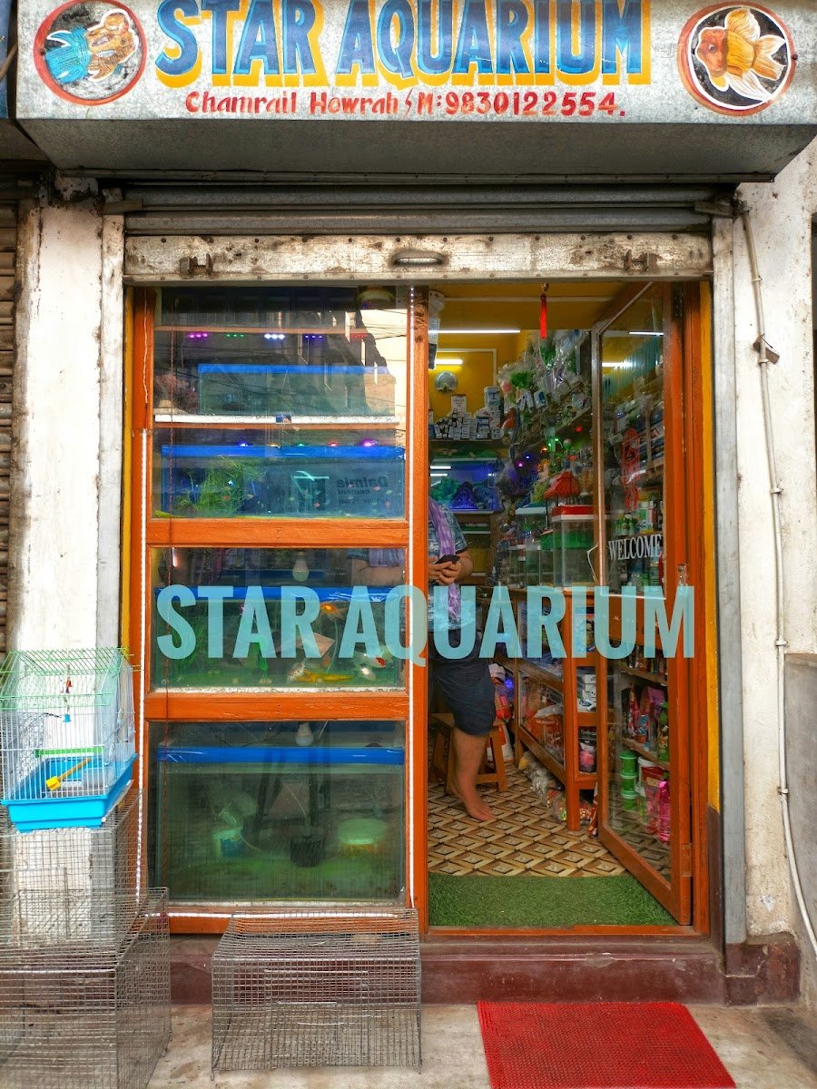 STAR AQUARIUM - Photo 2