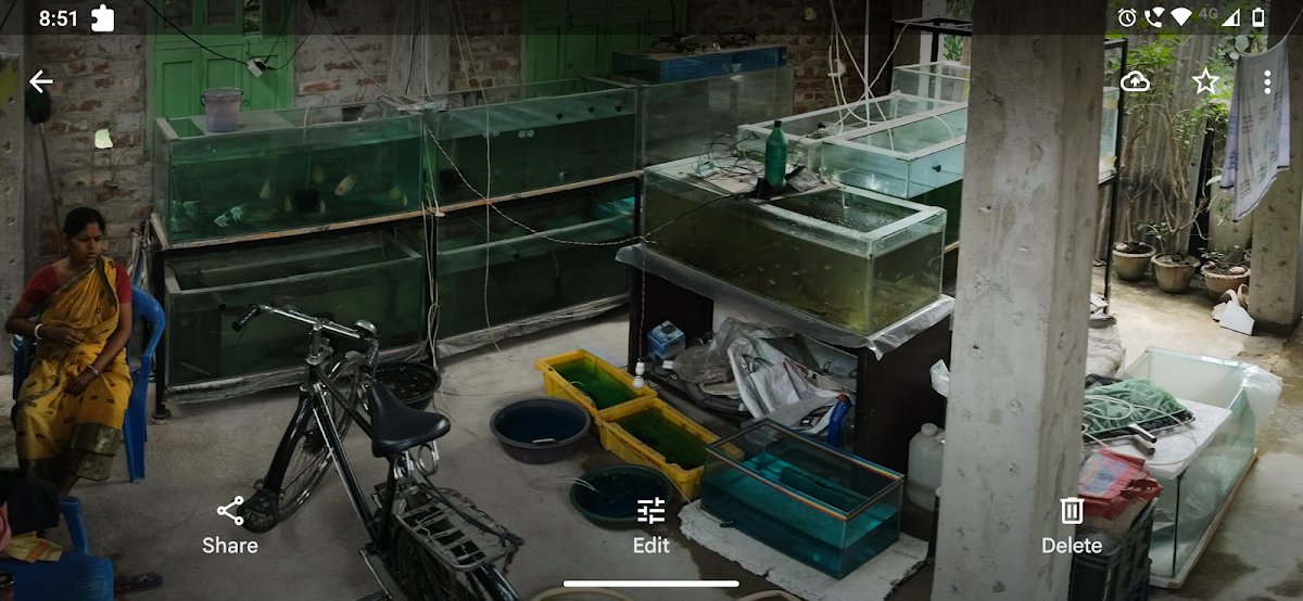 Exotic Aquatics - Photo 2
