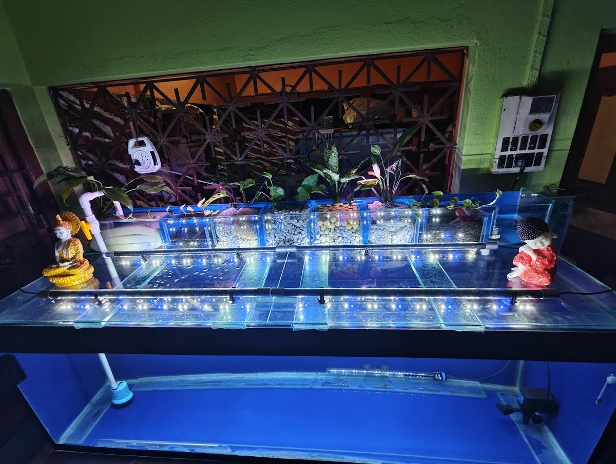 Babai Aquatics - Photo 2