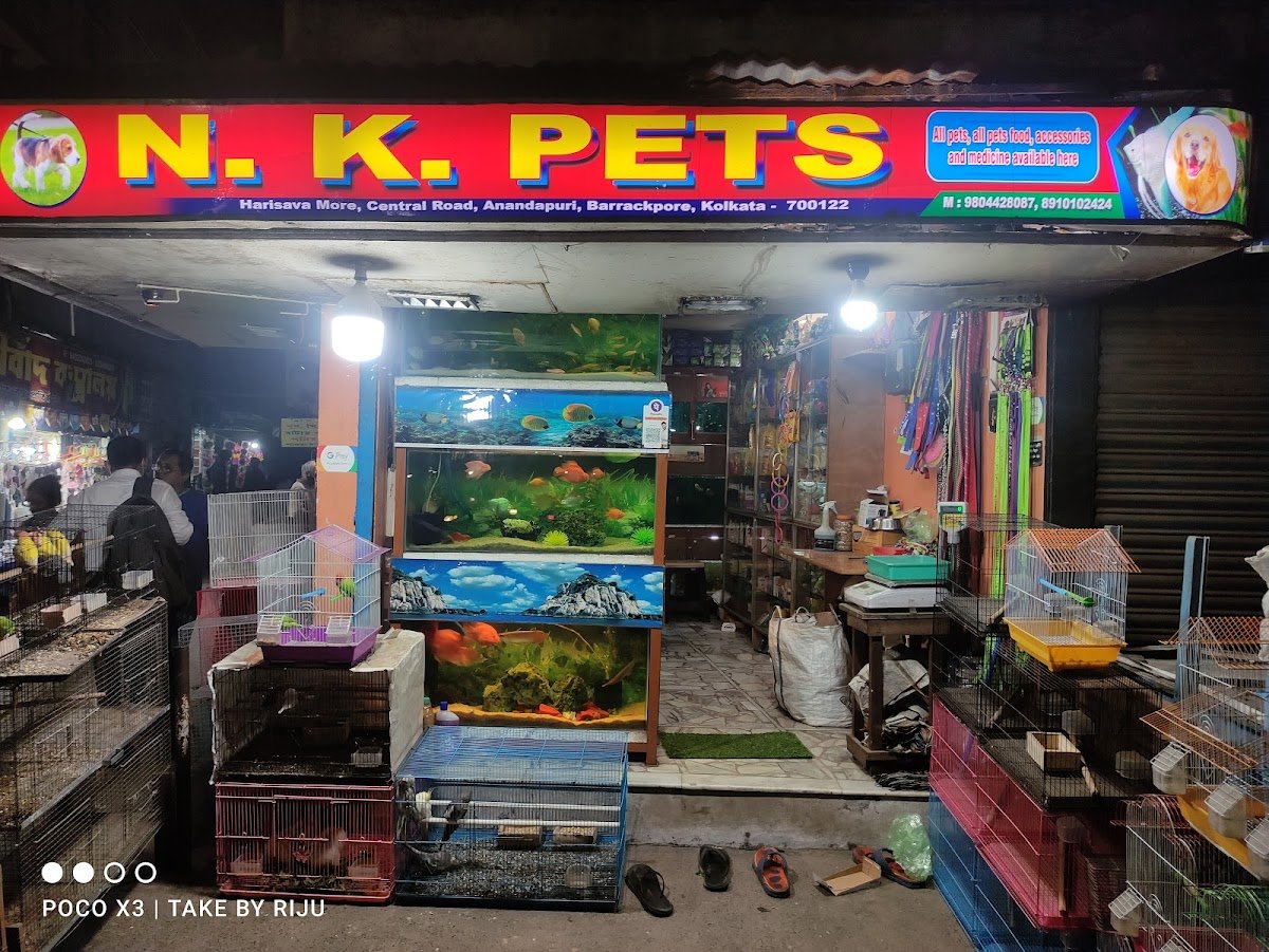 N K PETS - Photo 2