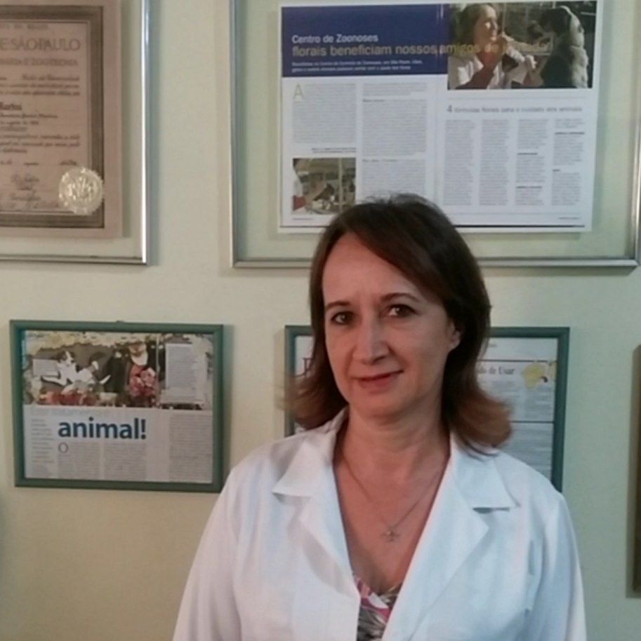 Veterinária São Francisco