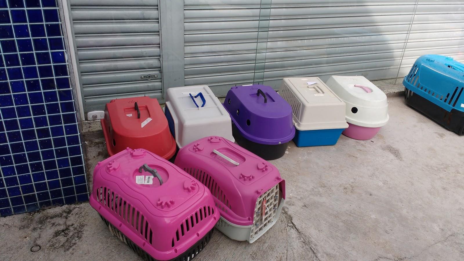 Verterinário Wilson Grassi e Equipe