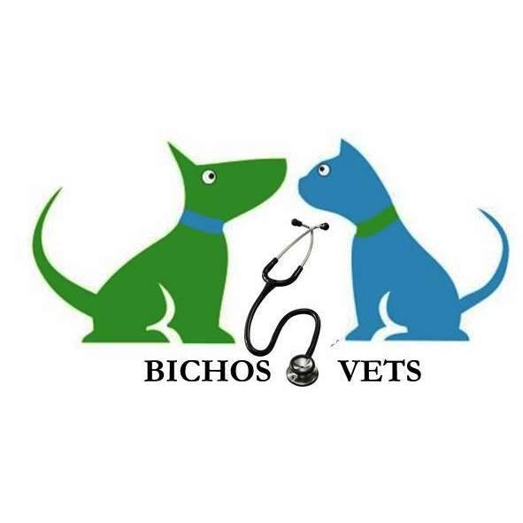Bichos e Vets Clínica Veterinária - Foto 4