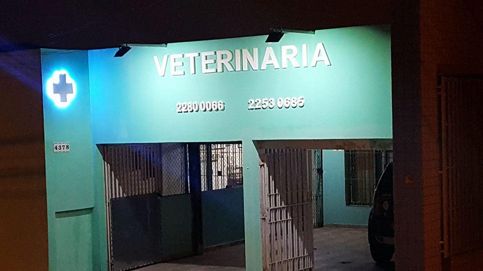 Bichos e Vets Clínica Veterinária - Pet Shop em São Paulo