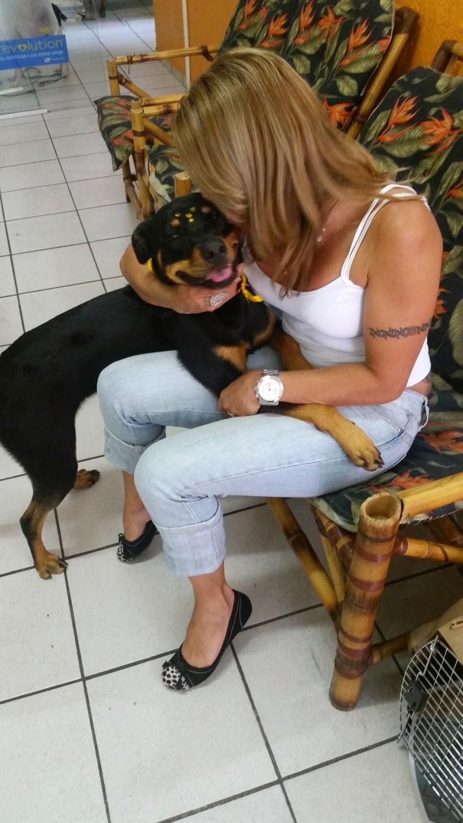 Pet Shop Mania Animal