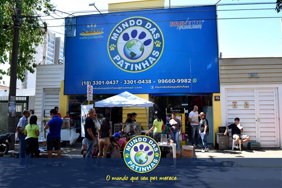 Mundo das Patinhas - Foto 3