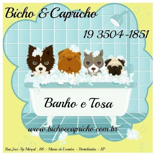 Bicho e Capricho - Banho e Tosa