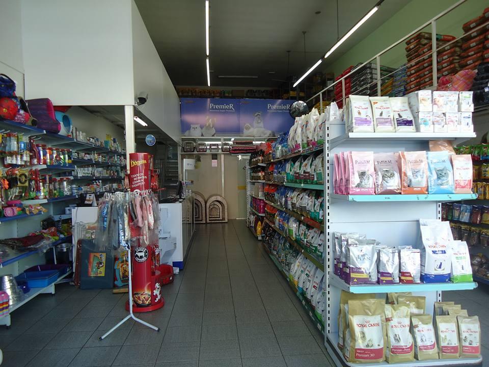 Pet Shop Play Dog & Cia