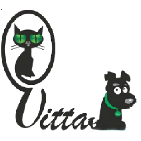 Clínica Vitta - Foto 4