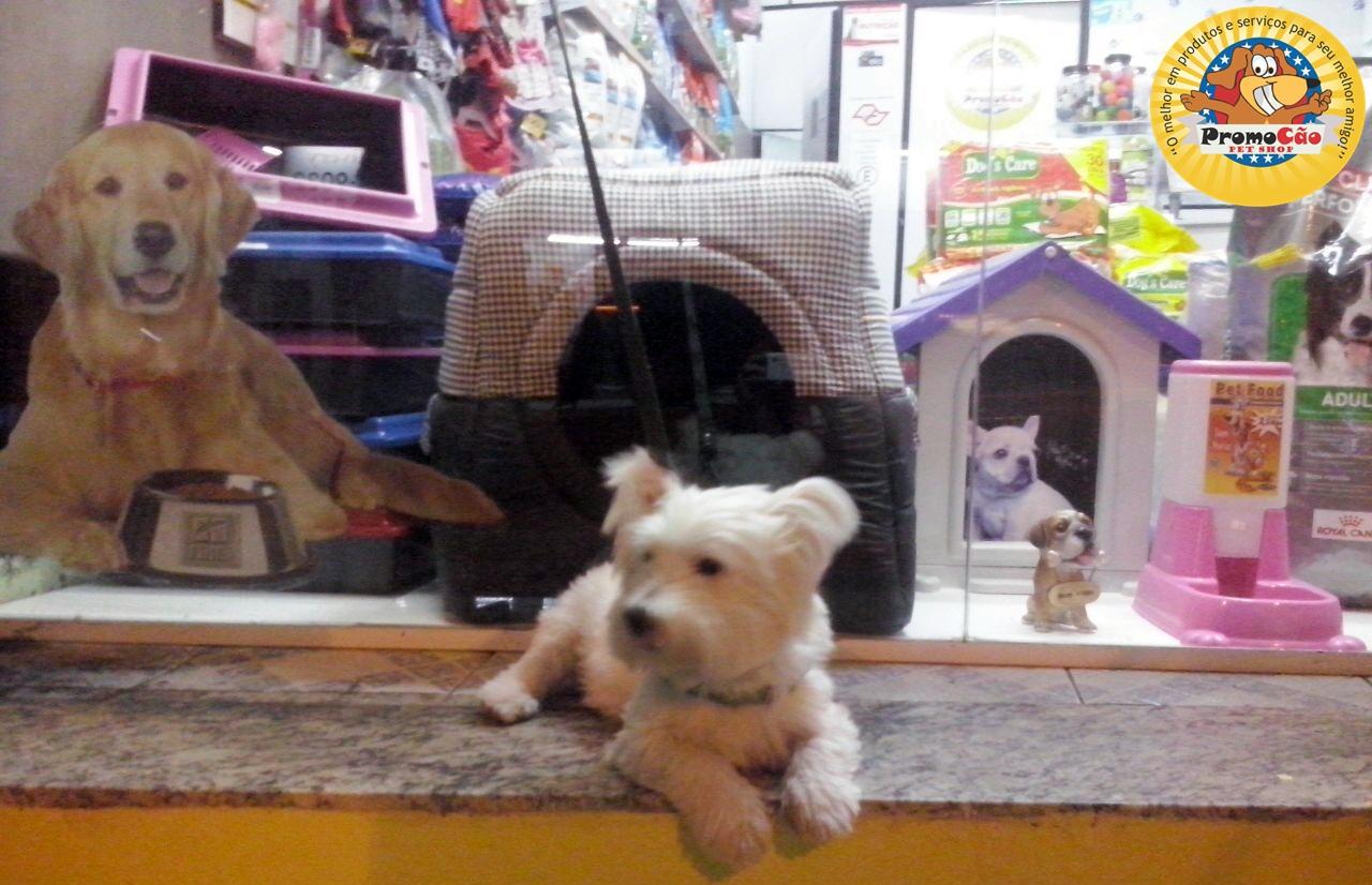 PromoCão Pet Shop - Foto 4