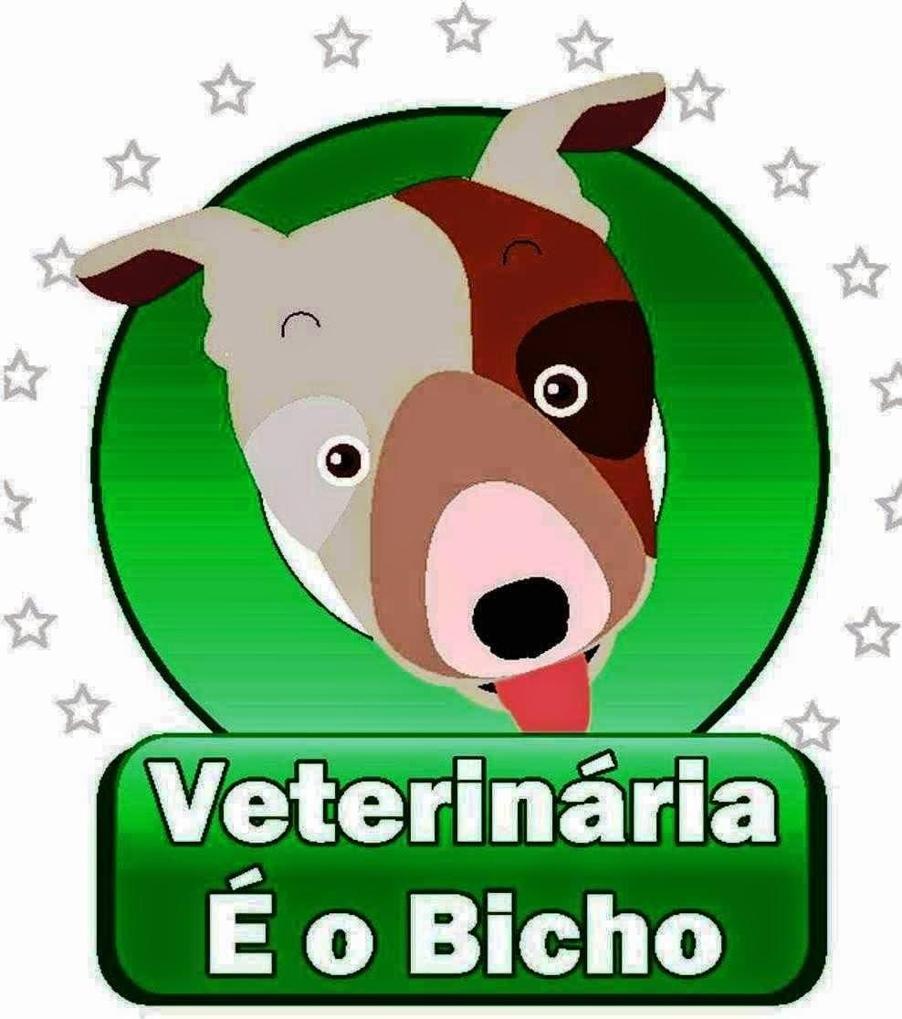 Veterinária É o Bicho - 24h