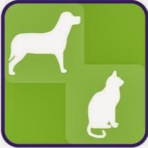 Animal Care - Clínica Veterinária , Acupuntura Veterinária e Pet Shop