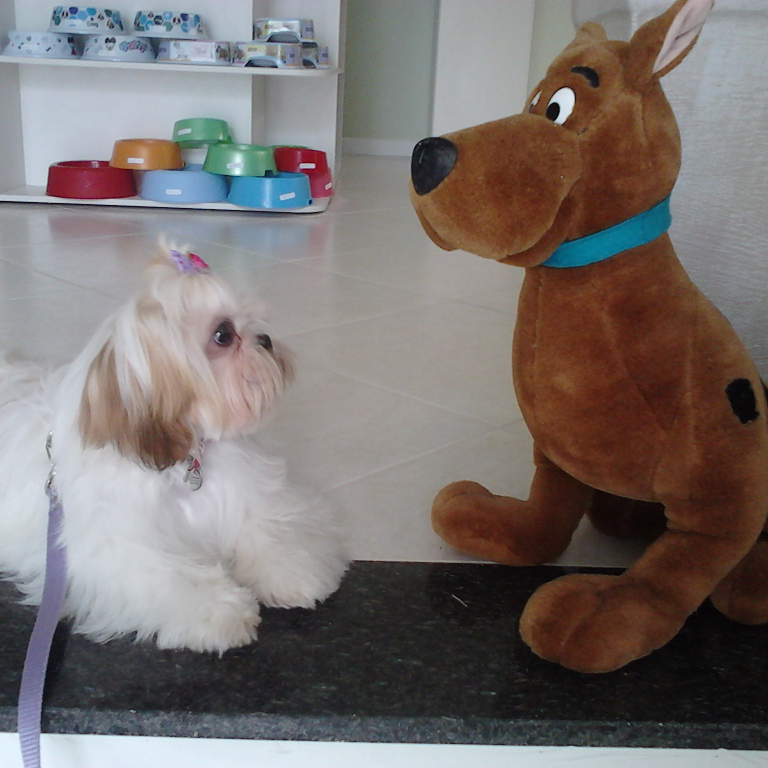 Dog World - Foto 2