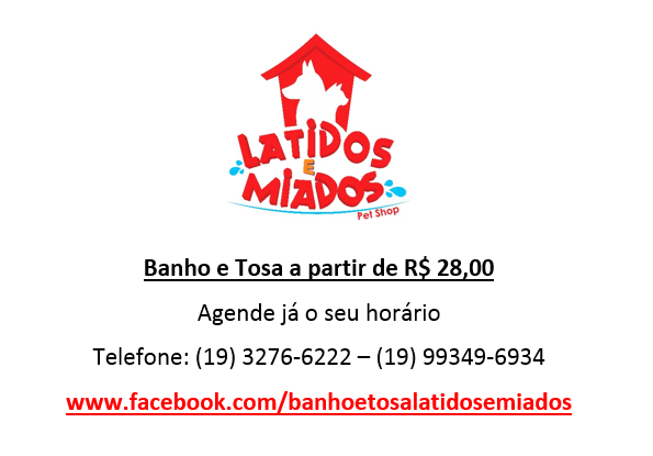 Latidos e Miados - Foto 3