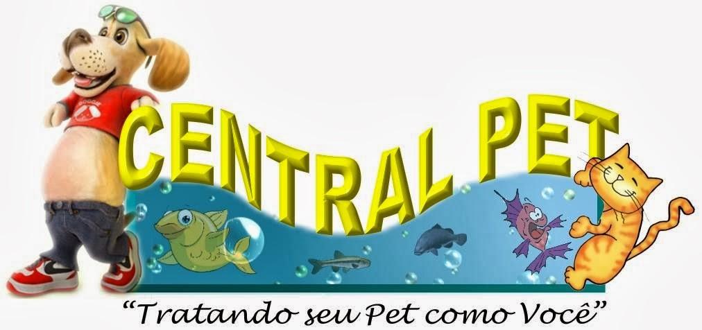PetCamp - Foto 4