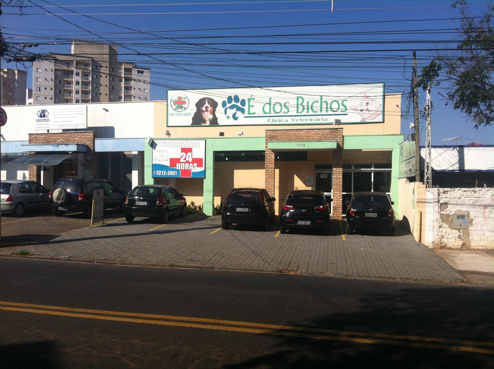 É Dos Bichos - Clínica Veterinária 24 horas