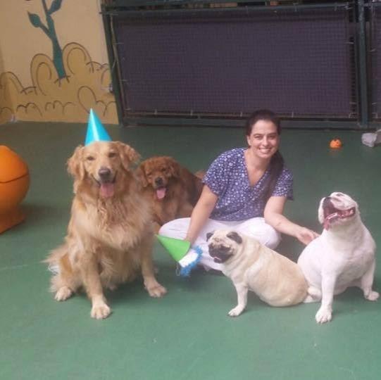Clínica Veterinária Dra Denise Demarchi - Pet Shop em São Caetano do Sul