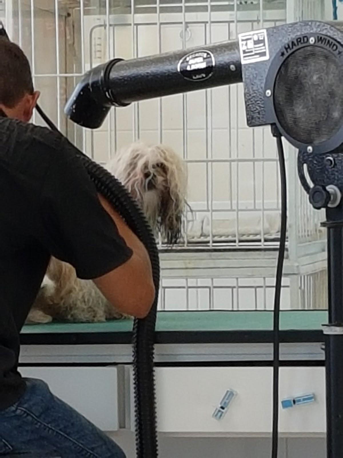 Cobasi Ribeirão Preto Maurilio Biagi - Pet Shop em Ribeirão Preto