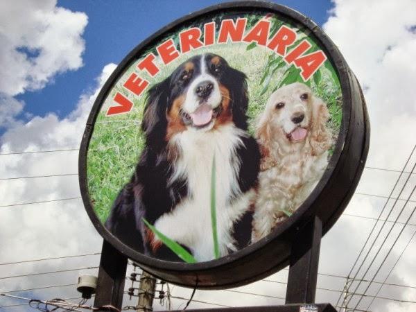 Four Paws Veterinary Clinic